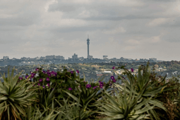 South Africa Rebukes US Human Rights Report as ‘Deeply Flawed’ South_Africa_Rebukes_US_Human_Rights_Report_as__Deeply_Flawed_