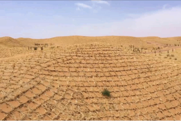 Straw Checkerboards in Zhongwei: A 70-Year Green Marvel Guiding Global Ecology Straw_Checkerboards_in_Zhongwei__A_70_Year_Green_Marvel_Guiding_Global_Ecology