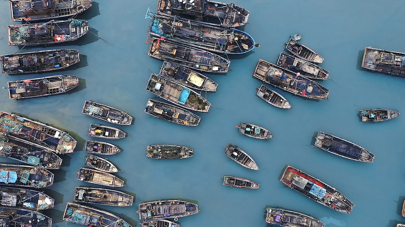 Summer Fishing Season Kicks Off at Four Chinese Mainland Ports Summer_Fishing_Season_Kicks_Off_at_Four_Chinese_Mainland_Ports video poster
