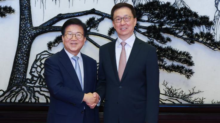 China’s Vice President Han Zheng Meets ROK President’s Special Envoy