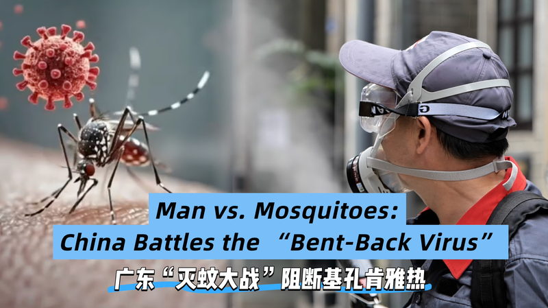 Guangdong’s High-Tech Fight Against the ‘Bent-back Virus’ Guangdong’s High-Tech Fight Against the 'Bent-back Virus' video poster