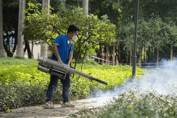 Targeted Measures Drive Down Chikungunya Cases in Guangdong Targeted_Measures_Drive_Down_Chikungunya_Cases_in_Guangdong