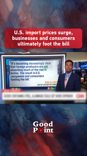 Tariffs Drive US Import Prices Up: Businesses and Consumers Feel the Pinch Tariffs_Drive_US_Import_Prices_Up__Businesses_and_Consumers_Feel_the_Pinch video poster