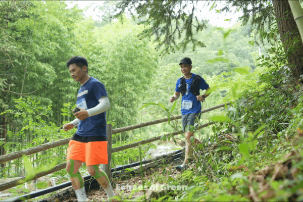 Trail Running in Anji: A Green Morning in the Bamboo Forest Trail_Running_in_Anji__A_Green_Morning_in_the_Bamboo_Forest video poster