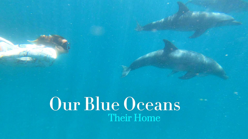 UN_80__Ceramicist_Megan_White_s_Call_for_Blue_Oceans video poster