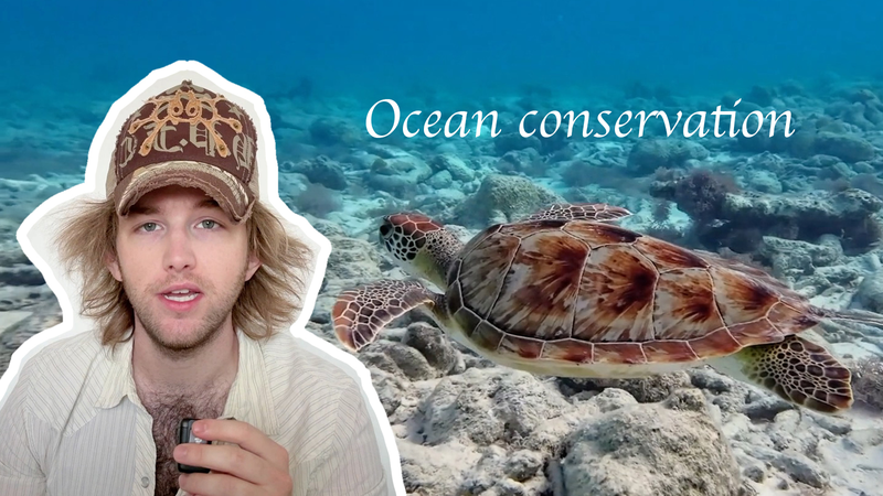 UN@80: Vlogger Robbie Swain’s Call for Ocean Conservation UN_80__Vlogger_Robbie_Swain_s_Call_for_Ocean_Conservation video poster