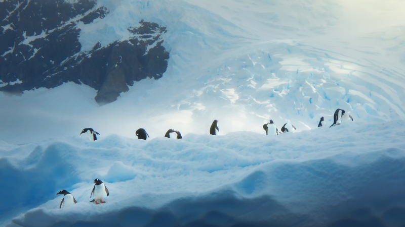 UN_80__Youth_Share_Visions_in_First_Photo_Collection