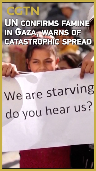 UN Confirms Gaza Famine: Over 500,000 Facing Starvation UN_Confirms_Gaza_Famine__Over_500_000_Facing_Starvation video poster