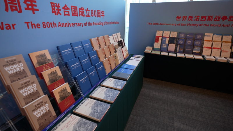 UN Library Exhibition Spotlights China’s WWII Role & UN Founding UN_Library_Exhibition_Spotlights_China_s_WWII_Role___UN_Founding video poster