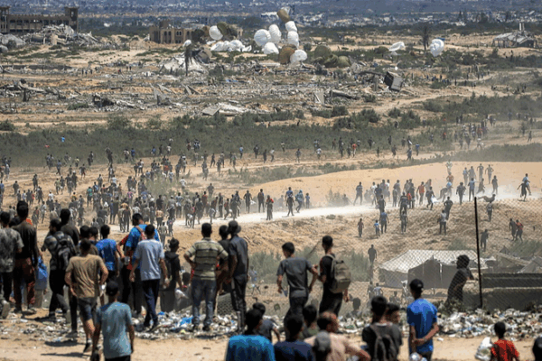 UN Warns Gaza Food Crisis as Only 1.5% Farmland Usable UN_Warns_Gaza_Food_Crisis_as_Only_1_5__Farmland_Usable
