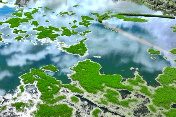 Unlocking the Lungs of Lhasa: Science Meets Xizang’s Alpine Wetlands Unlocking_the_Lungs_of_Lhasa__Science_Meets_Xizang_s_Alpine_Wetlands video poster