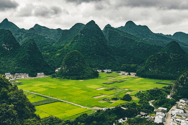 Wanfenglin Scenic Area: Unveiling the Karst Wonder of southwest China Wanfenglin_Scenic_Area__Unveiling_the_Karst_Wonder_of_southwest_China video poster