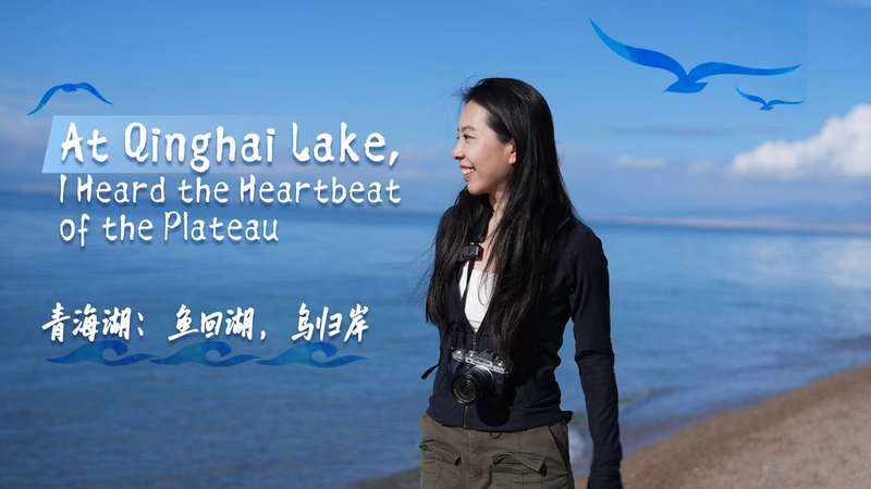 Qinghai Lake’s Living Network: The Heartbeat of the Tibetan Plateau Qinghai Lake’s Living Network: The Heartbeat of the Tibetan Plateau video poster