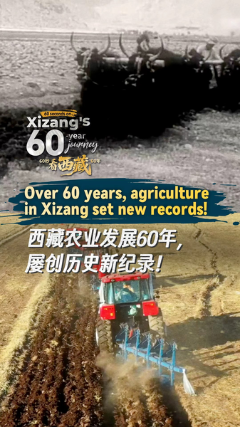 Xizang’s 60-Year Agricultural Transformation Xizang_s_60_Year_Agricultural_Transformation video poster