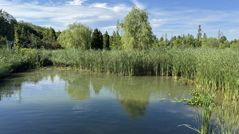 Beijing’s Wenyu River Park: From Polluted Waterway to Eco-Social Hub Beijing’s Wenyu River Park: From Polluted Waterway to Eco-Social Hub video poster
