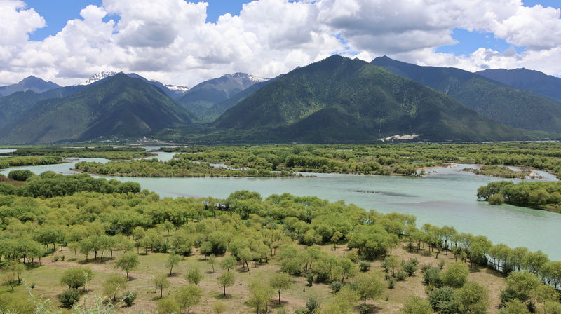 Yani Wetland: A Vibrant Oasis on the Roof of the World Yani_Wetland__A_Vibrant_Oasis_on_the_Roof_of_the_World