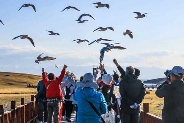 Discover Autumn’s Magic at Bayanbulak Grassland Discover Autumn’s Magic at Bayanbulak Grassland