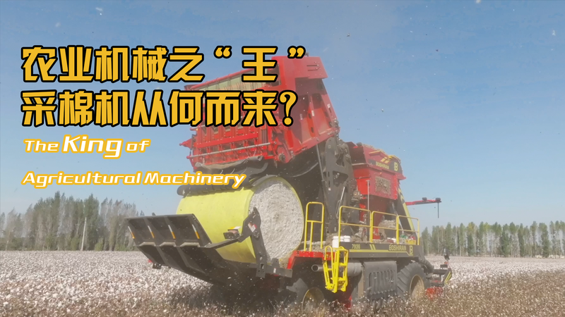 Xinjiang’s Cotton Machinery Revolution: From Fields to Harvesters Xinjiang’s Cotton Machinery Revolution: From Fields to Harvesters video poster