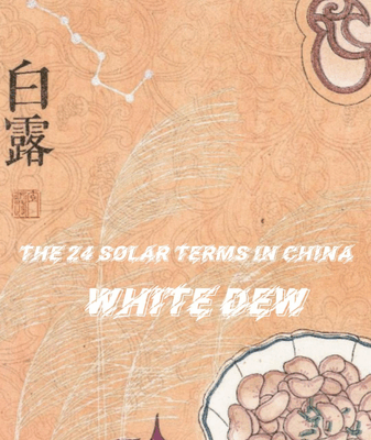 Unveiling White Dew: Fall’s Third Solar Term and Its Global Appeal Unveiling White Dew: Fall’s Third Solar Term and Its Global Appeal video poster