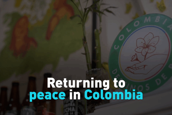 Brewing Peace in Colombia: Ex-FARC Women Turn to Craft Beer Brewing_Peace_in_Colombia__Ex_FARC_Women_Turn_to_Craft_Beer video poster
