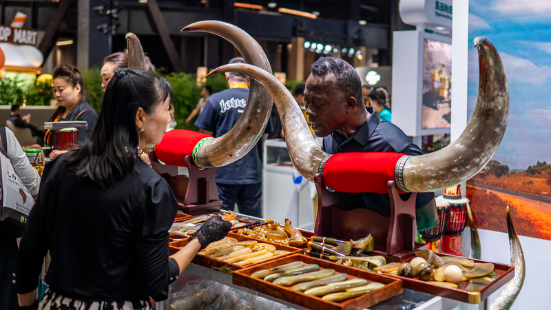 CIFTIS 2025: Africa’s Service Trade Boom with China CIFTIS_2025__Africa_s_Service_Trade_Boom_with_China