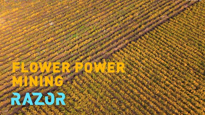 Blooming Nickel: Albania’s Flower-Powered Mining Revolution Blooming Nickel: Albania’s Flower-Powered Mining Revolution video poster