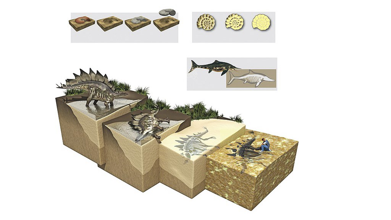 Fossil Feces Unlock Molecular Secrets of Prehistoric Diets Fossil_Feces_Unlock_Molecular_Secrets_of_Prehistoric_Diets