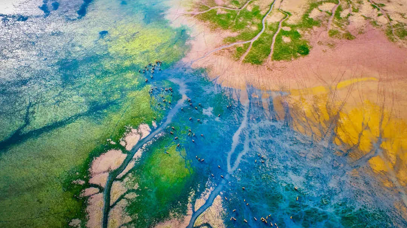 Global Coastal Ecosystem Status Report Unveiled at World Coastal Forum Global_Coastal_Ecosystem_Status_Report_Unveiled_at_World_Coastal_Forum