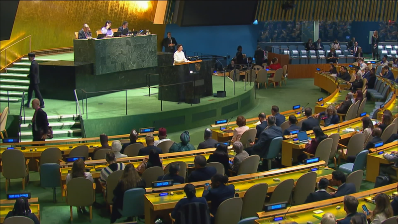 Global_Leaders_Reaffirm_Women_s_Rights_on_30th_Beijing_Conference_Anniversary video poster