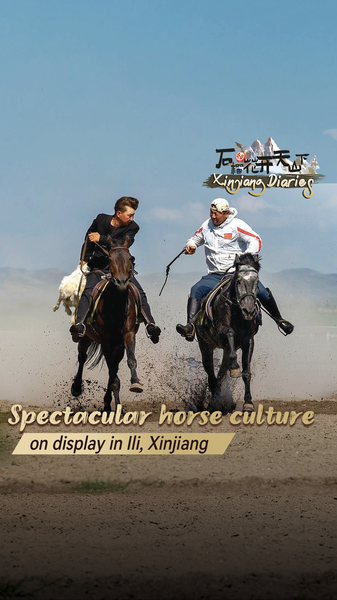 Horses__Heritage__and_Harmony__Inside_Ili_s_Tianma_Tourism_Culture_Park_poster - My Global News: Voices of a New Era Horses__Heritage__and_Harmony__Inside_Ili_s_Tianma_Tourism_Culture_Park video poster