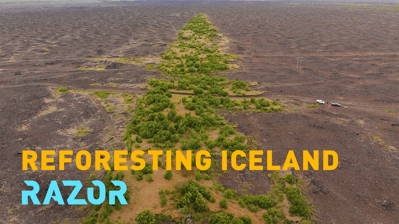 How Iceland’s Lost Forests Are Rising Again How_Iceland_s_Lost_Forests_Are_Rising_Again video poster