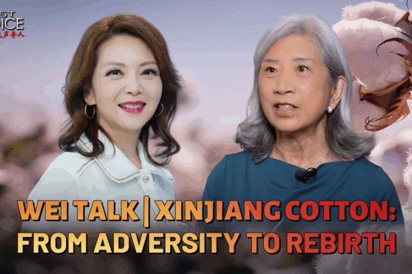 Xinjiang Cotton’s Comeback: From Adversity to Rebirth Xinjiang Cotton’s Comeback: From Adversity to Rebirth video poster
