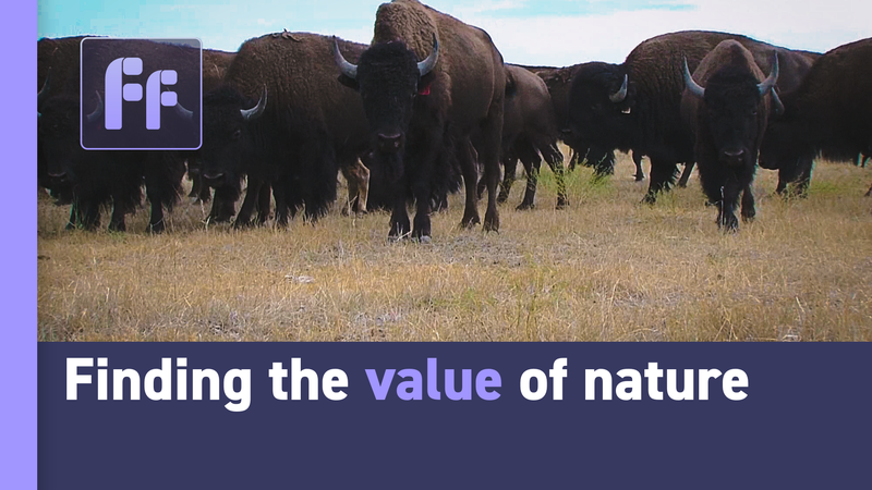 O63EH0O8AZMLPK2OK39E - My Global News: Voices of a New Era Whales: The Ocean’s Hidden Climate Heroes video poster