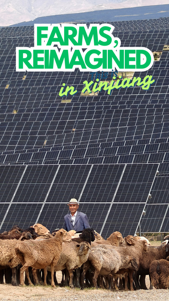 Ocean of Solar Panels Transforms Xinjiang Mountains Ocean_of_Solar_Panels_Transforms_Xinjiang_Mountains video poster