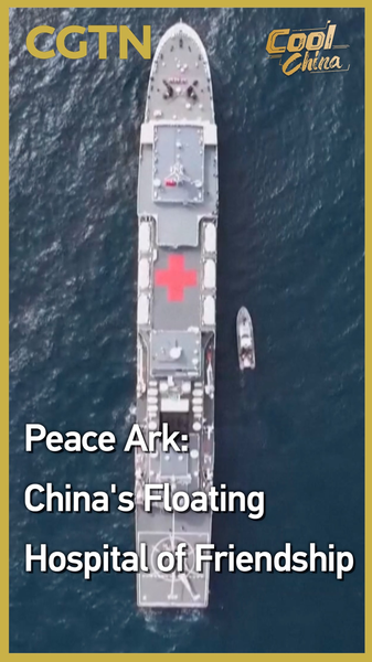 Peace Ark: 15 Years of Lifesaving Missions in 52 Countries Peace_Ark__15_Years_of_Lifesaving_Missions_in_52_Countries video poster