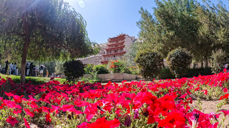 Autumn Splendor at Dunhuang’s Mogao Grottoes: A Cultural Journey Autumn Splendor at Dunhuang’s Mogao Grottoes: A Cultural Journey