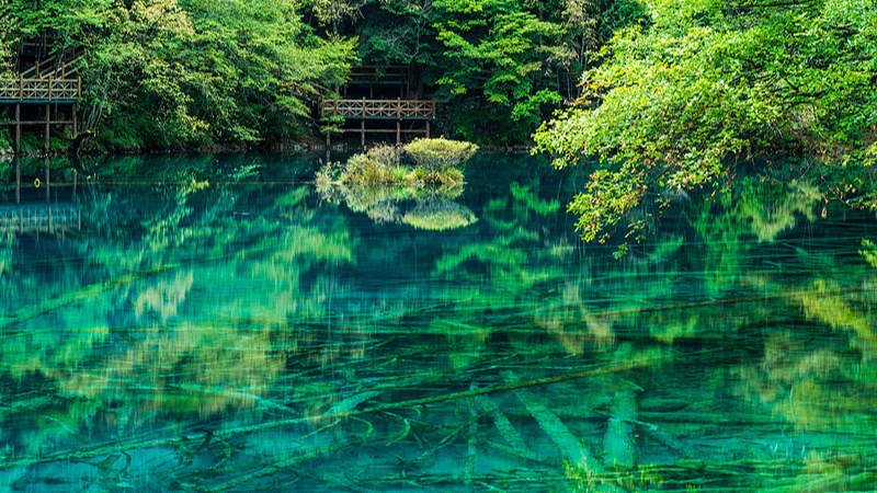 Five-Flower Lake: Jiuzhaigou’s Dazzling Four-Season Color Sprite Five-Flower Lake: Jiuzhaigou’s Dazzling Four-Season Color Sprite video poster
