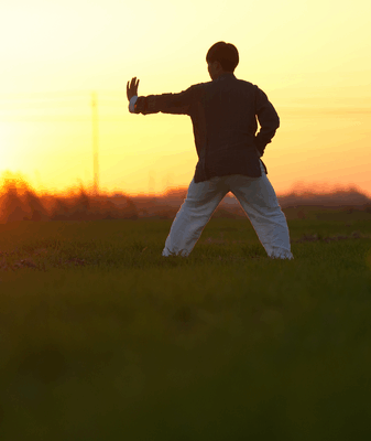 Sunset Bajiquan: Mastering the Eight Extremities Sunset_Bajiquan__Mastering_the_Eight_Extremities video poster