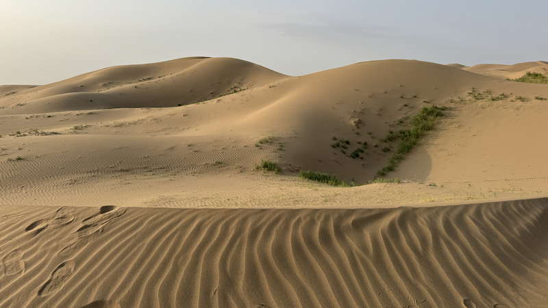 Ningxia’s Desert-to-Orchard Revolution Ningxia’s Desert-to-Orchard Revolution