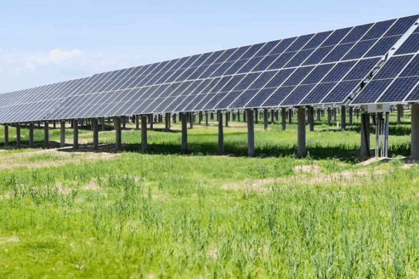 Inner Mongolia’s Solar Grazing Revolution Transforms Desert to Green Valley Inner Mongolia’s Solar Grazing Revolution Transforms Desert to Green Valley