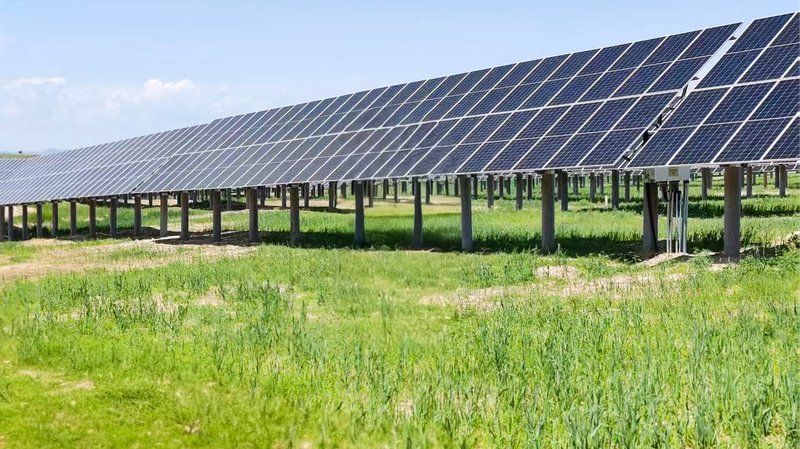U7AF4NR0G5J7QD4M9IDC - My Global News: Voices of a New Era Inner Mongolia’s Solar Grazing Revolution Transforms Desert to Green Valley