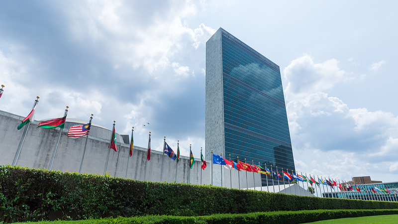 UN_s_80th_Anniversary__Global_Leaders_Gather_for_Inclusive_Multilateral_Vision video poster