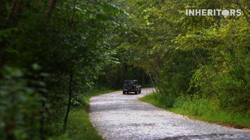 Jingmai Mountain’s Cobblestone Road: A Slow Path to Tea Heritage Jingmai Mountain’s Cobblestone Road: A Slow Path to Tea Heritage