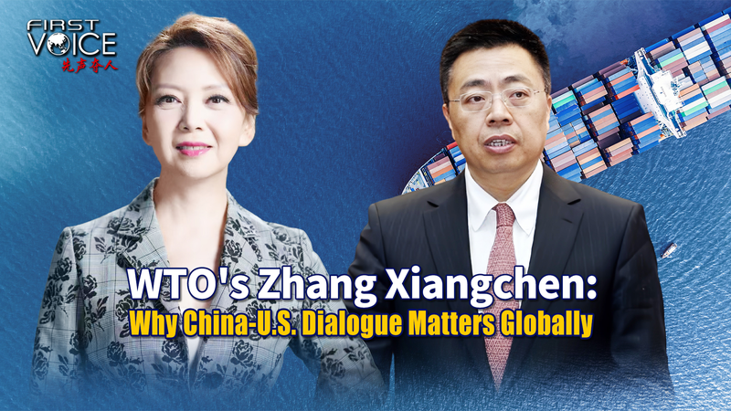 WTO_s_Zhang_Xiangchen__Why_China_U_S__Talks_Matter_for_Global_Trade video poster