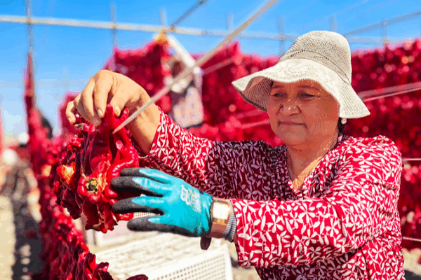 White_Paper__Xinjiang_s_Unprecedented_Era_of_Growth_and_Wellbeing