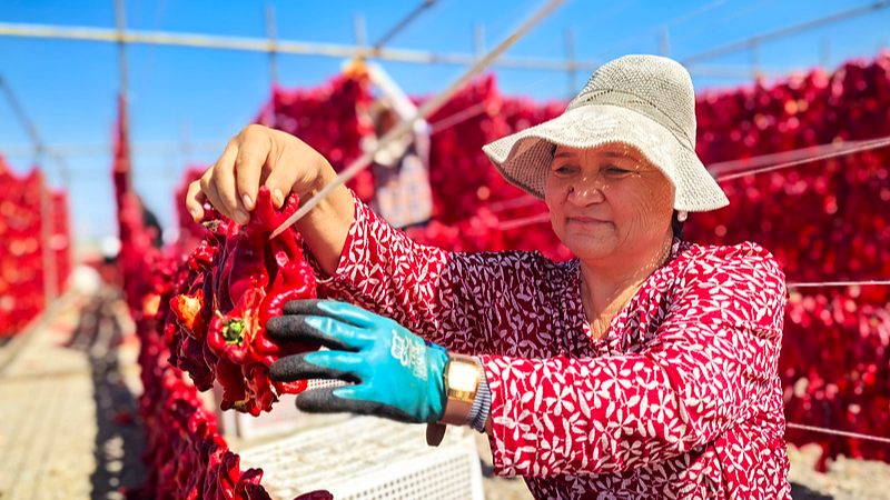 White_Paper__Xinjiang_s_Unprecedented_Era_of_Growth_and_Wellbeing - My Global News: Voices of a New Era White_Paper__Xinjiang_s_Unprecedented_Era_of_Growth_and_Wellbeing