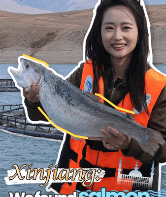 Why China Is Farming Salmon in Mountain Glacial Waters Why_China_Is_Farming_Salmon_in_Mountain_Glacial_Waters video poster