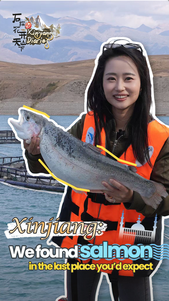 Why_China_Is_Farming_Salmon_in_Mountain_Glacial_Waters_poster - My Global News: Voices of a New Era Why_China_Is_Farming_Salmon_in_Mountain_Glacial_Waters video poster