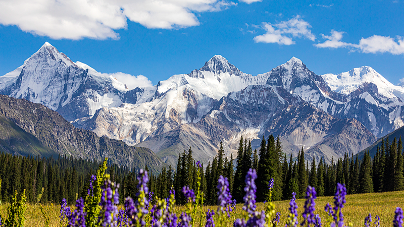 Xinjiang International Photography Contest Opens for Global Entries Xinjiang_International_Photography_Contest_Opens_for_Global_Entries