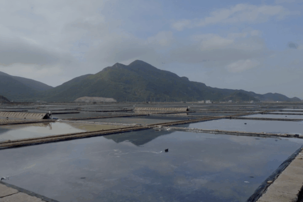 Zhejiang’s Ancient Sea Salt Craft: Guardians of the Blue Planet Zhejiang_s_Ancient_Sea_Salt_Craft__Guardians_of_the_Blue_Planet video poster